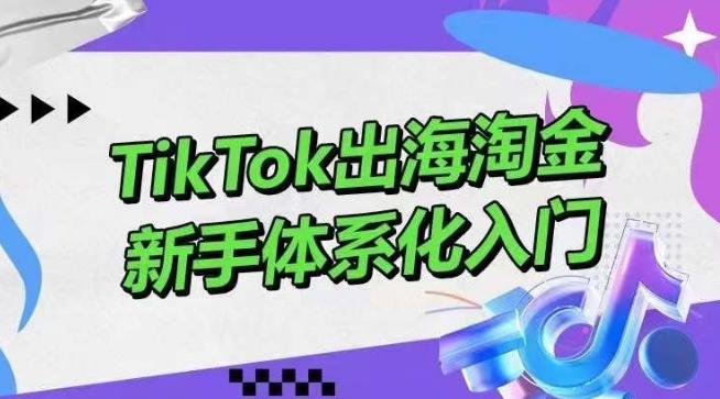 TikTok出海淘金，新手体系化入门，零基础快速入门，掌握短视频、直播带货等引流到变现的知识-鼎铸网