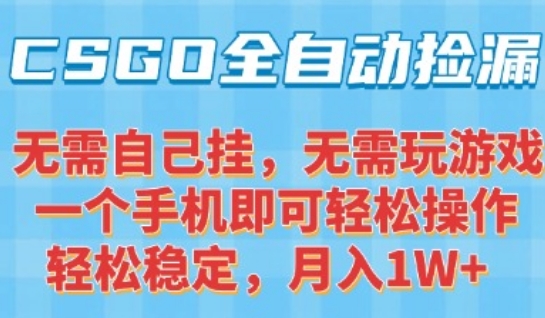 CSGO自动捡漏项目，最新独家玩法，一个手机可操作，新手小白轻松月入1W+，操作简单易上手【揭秘】-鼎铸网