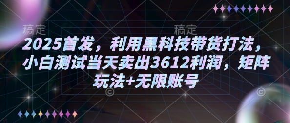 2025首发，利用黑科技带货打法，小白测试当天卖出3612利润，矩阵玩法+无限账号【揭秘】-鼎铸网
