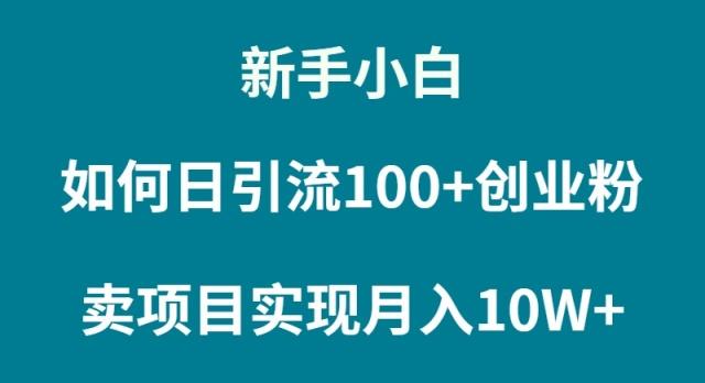 (9556期)新手小白如何通过卖项目实现月入10W+-鼎铸网