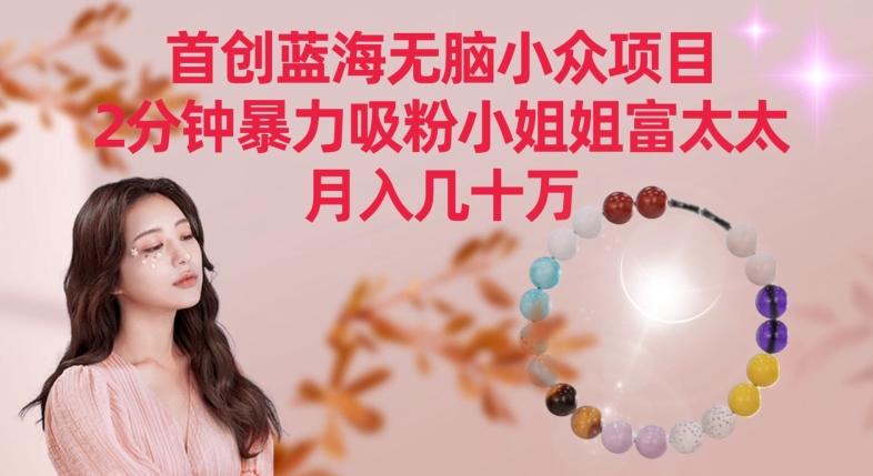 首创蓝海无脑小众项目，2分钟暴力吸粉小姐姐富太太，月入几十万【揭秘】-鼎铸网