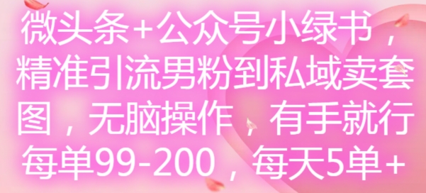 微头条+公众号小绿书，精准引流男粉到私域卖套图，无脑操作，有手就行，每单99-200，每天5单-鼎铸网