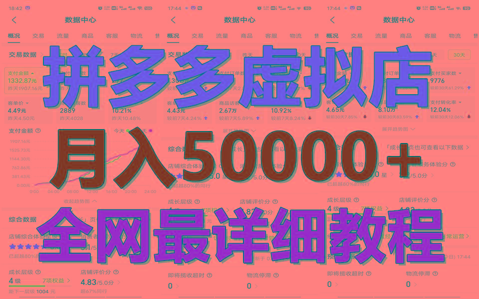 拼多多虚拟电商训练营月入50000+你也行，暴利稳定长久，副业首选-鼎铸网