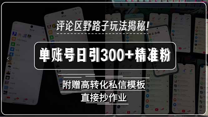 评论区野路子玩法揭秘！单账号日引300+精准粉，附赠高转化私信模板，直…-鼎铸网
