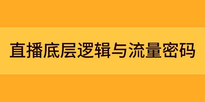 直播底层逻辑与流量密码：定位模型+案例拆解，急速流承接与数据优化全攻略-鼎铸网