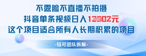不露脸不直播不拍摄抖音单条视频日入1k+这个项目适合所有人长期积累的项目-鼎铸网