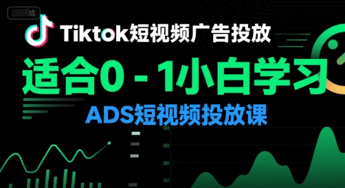 Tiktok短视频广告投放，适合0-1小白学习ADS短视频投放课-鼎铸网