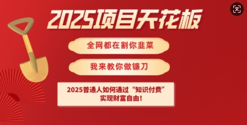 2025项目天花板普通人如何通过知识付费，实现财F自由【揭秘】-鼎铸网
