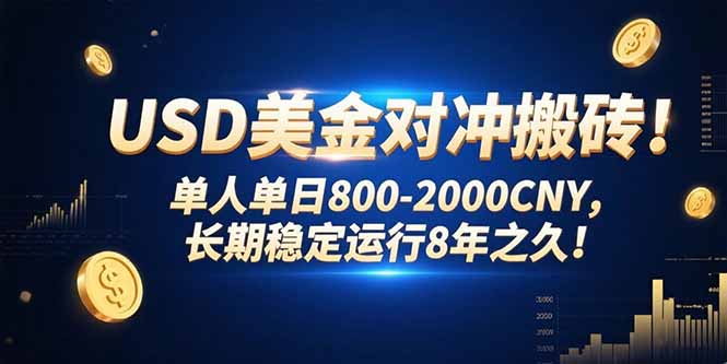 USD美金对冲搬砖!单人单日800-2000CNY，长期稳定运行8年之久!-鼎铸网