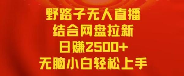 野路子无人直播结合网盘拉新，日赚2500+，小白无脑轻松上手【揭秘】-鼎铸网